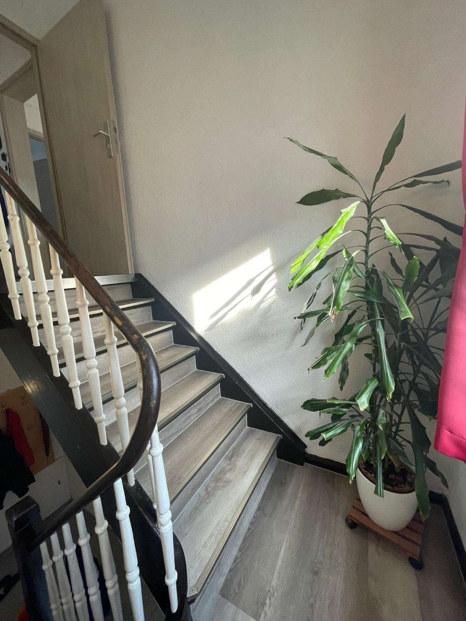 Leo Apartment Zentrum Rüsselsheim Eksteriør billede